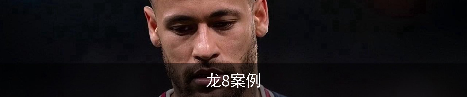 龙8案例