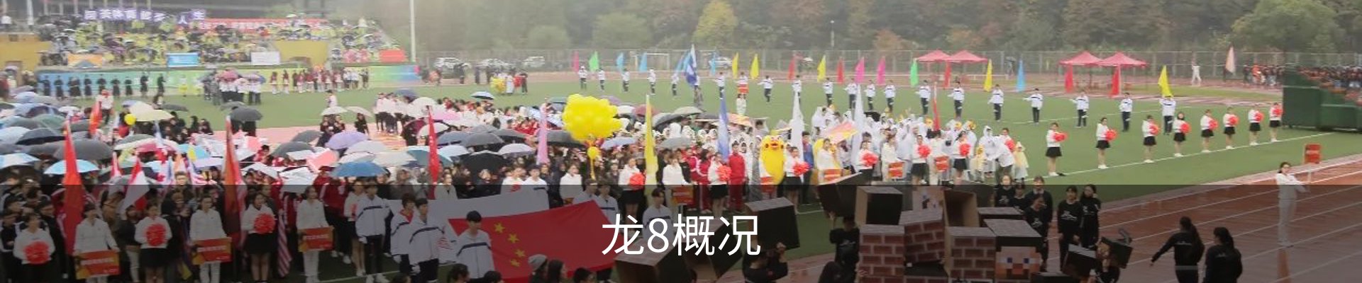 龙8概况